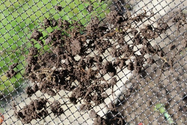 mesh to sieve soil