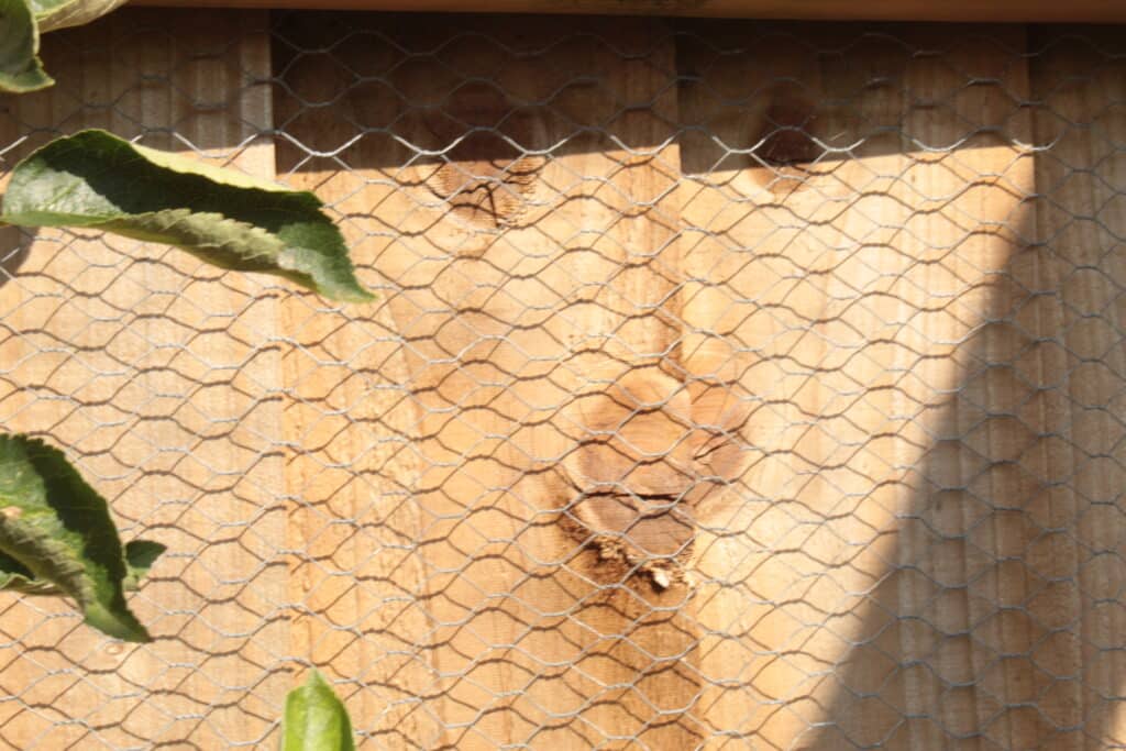 garden netting mesh