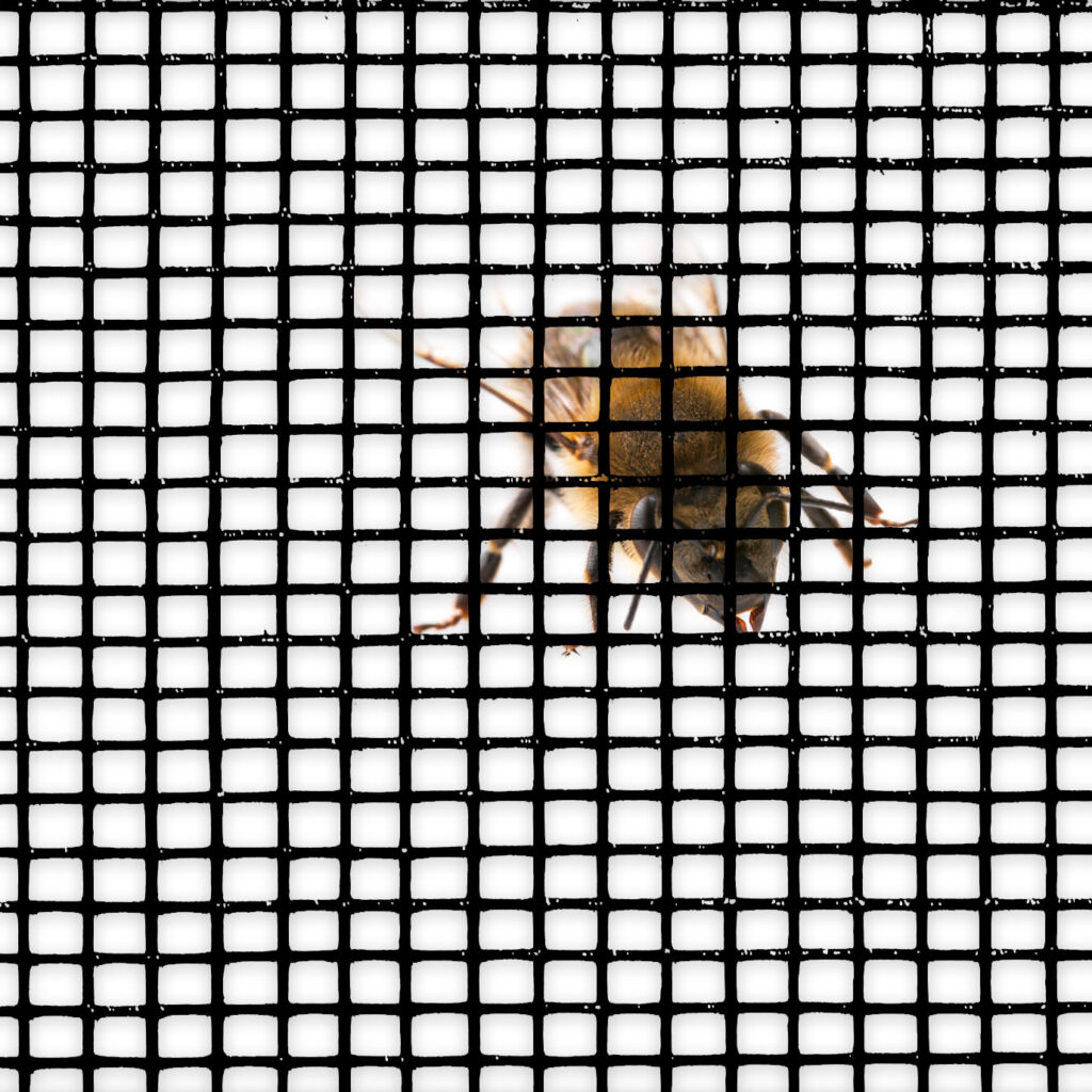 The Mesh Company Black Fibreglass Mesh Blocking Bee